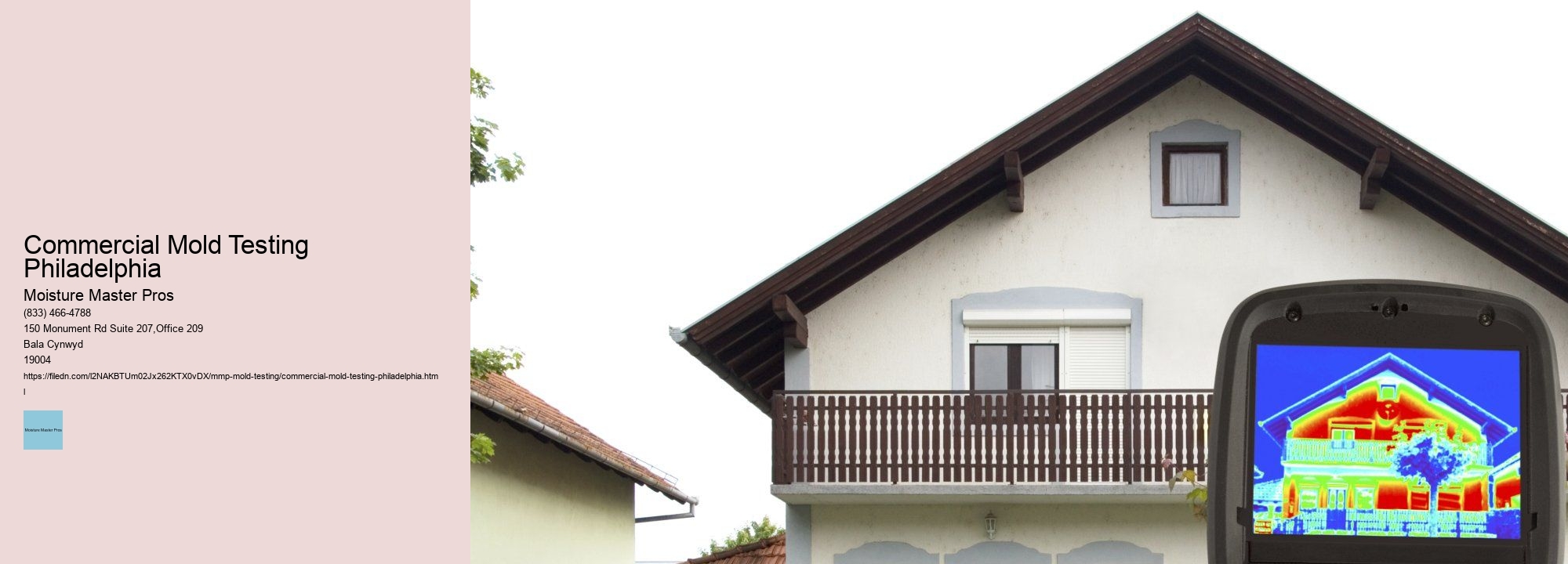Why regular mold inspections are necessary for old buildings in Philadelphia.
