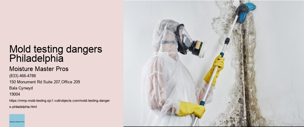 Steps on How to Prepare your House for a Mold Test in Philadelphia