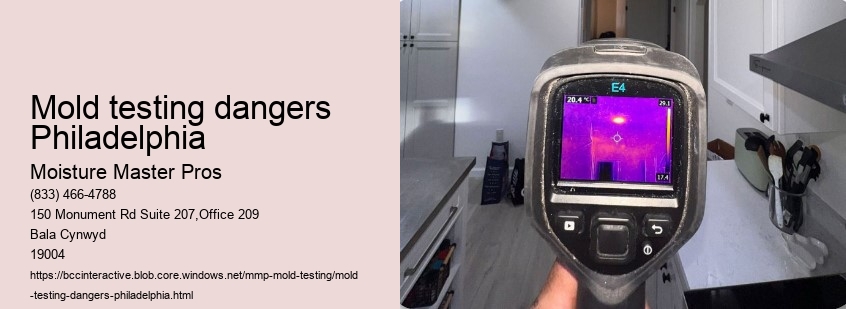 Mold testing dangers Philadelphia