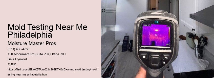 Mold Testing Near Me Philadelphia