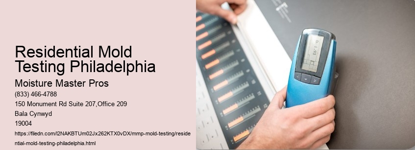 Residential Mold Testing Philadelphia
