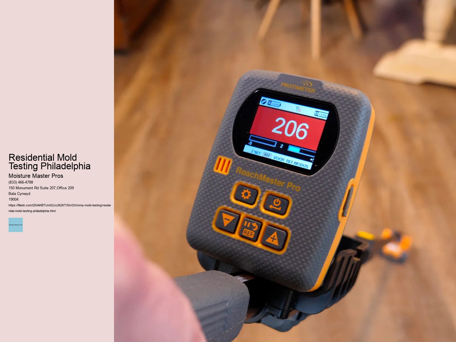 What is the Typical Cost for Mold Testing in Philadelphia? 