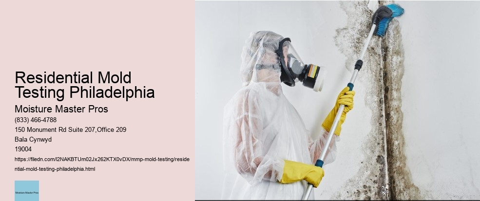 What is the Process of Mold Testing in Philadelphia?