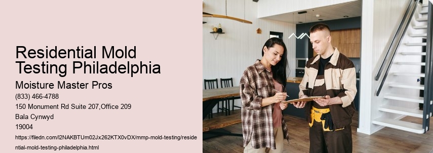 What is the Role of Certified Inspectors in Philadelphia Mold Testing? 